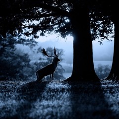 SCULPTING THROUGH THE NIGHTFALL OF THE ALPS