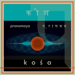 Pranamaya
