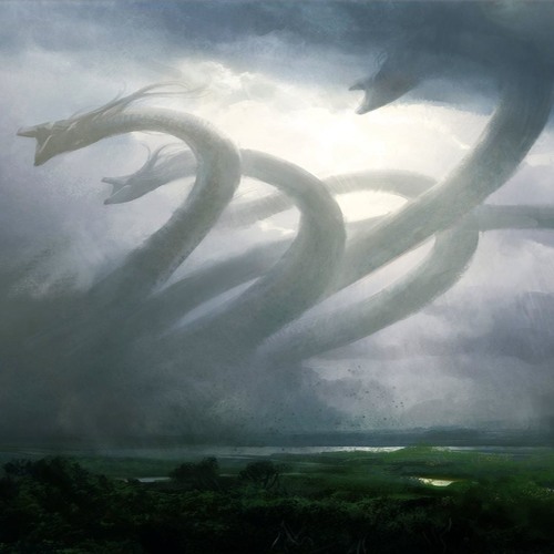 exanimationes incidamus