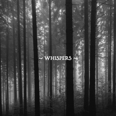 Narrow Skies - Whispers [OUT NOW]