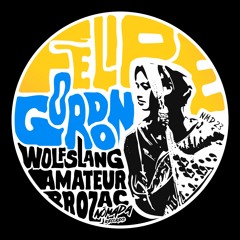 PREMIERE: Felipe Gordon - Wolf Slang Amateur Prozac [Nómada Records]
