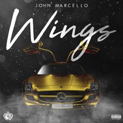 John Marcello - WINGS