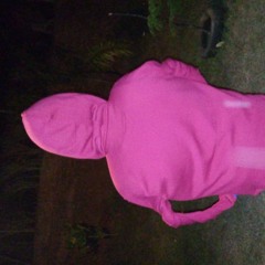 Os Backyardigans (FUNK)