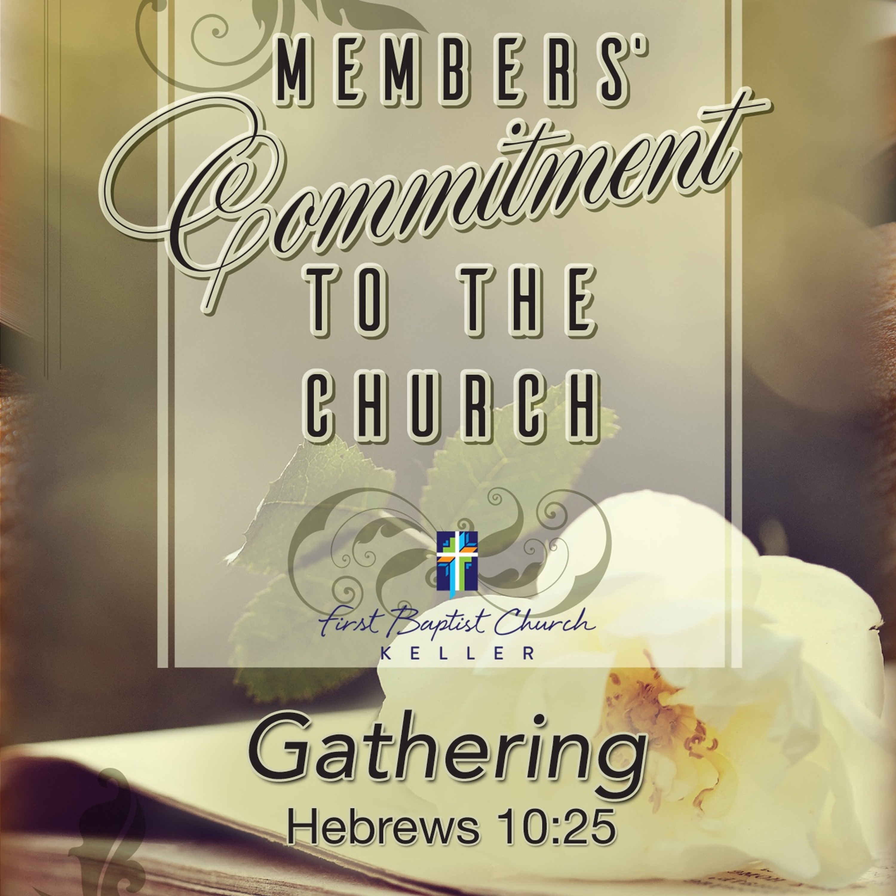 Gathering_09-10-17 episode artwork