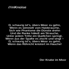Der Knabe im Moor