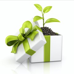 Green Gifts
