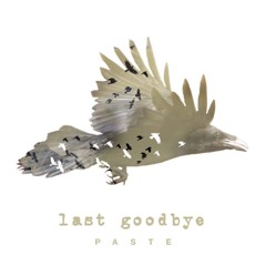 Last Goodbye