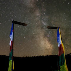 In The Prescence Of Sleep