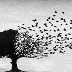 Nuets Uendelighed (Prod. Fredemand)