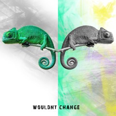Wouldn't Change Feat. Nina Grae (Prod. by Jahsiah)