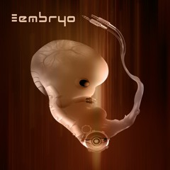 Prodigal Sun - Embryo
