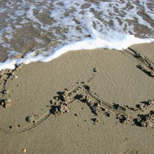 Stream Happy Hawaiian Music Relaxing Ukulele Acoustic Guitar Playlist