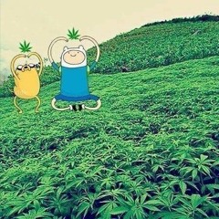 Dank Stank