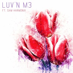 LUV'N M3 (Feat Sam Harmonix)(Prod. Rojay)