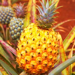 JULIO PARKER (prod. NOMAD x yaboijuliooo)