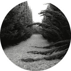 Ladan - Zone.2