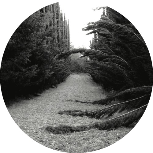 Ladan - Zone.2