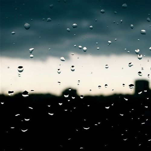 Parapluie (Tom Régnier/Alexis Roche)