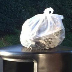 Whit's Picks - The Facebay