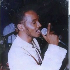 محمود عبد العزيز سيرو