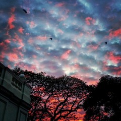 Clouds in Colombo (Live @ Sooriya Village)