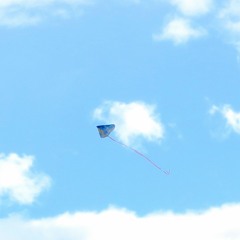 風になる [つじあやの]