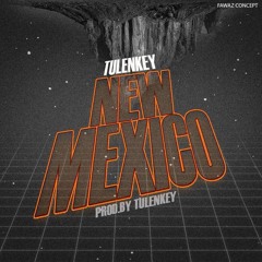 New Mexico Freestyle prod by Tulenkey