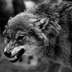 Anyway ft KingPayDay