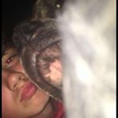 New Monkey Backing Tune - Atom - S.O.S