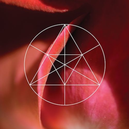 Mysteries of the Deep LXXVI - ASC | A MYRIAD OF SILHOUETTES