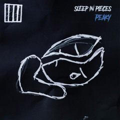 Sleep in Pieces (prod. by Peaky)