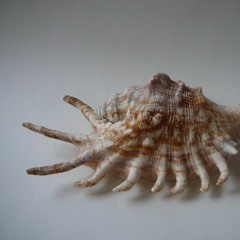 deboa
