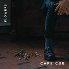 Stream Cape Cub music | Listen to songs, albums, playlists for free on  SoundCloud