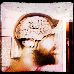 The Unsound Mind