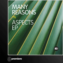 Premiere: Many Reasons - Aspect (Intec Digital)