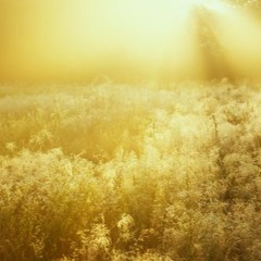 ACIM SEP 12 CONF CALL TEXT Chapter 24 Specialness and Separation