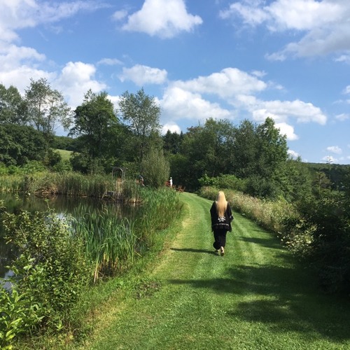 May It Be - by Enya - from The Lord of the Rings - The Fellowship of the Rings - Arranged and Performed by Mark Edward Woodyatt, 5-string Electric Violin & Loops at an outdoors wedding at The Barn at Glistening Ponds
