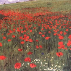 Meadow Of Poppies (Ringtone)
