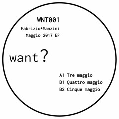 WNT001 - Fabrizio*Manzini (Fabrizio Maurizi & Matteo Manzini) - B1 Quattro maggio