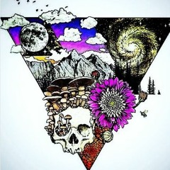 trip