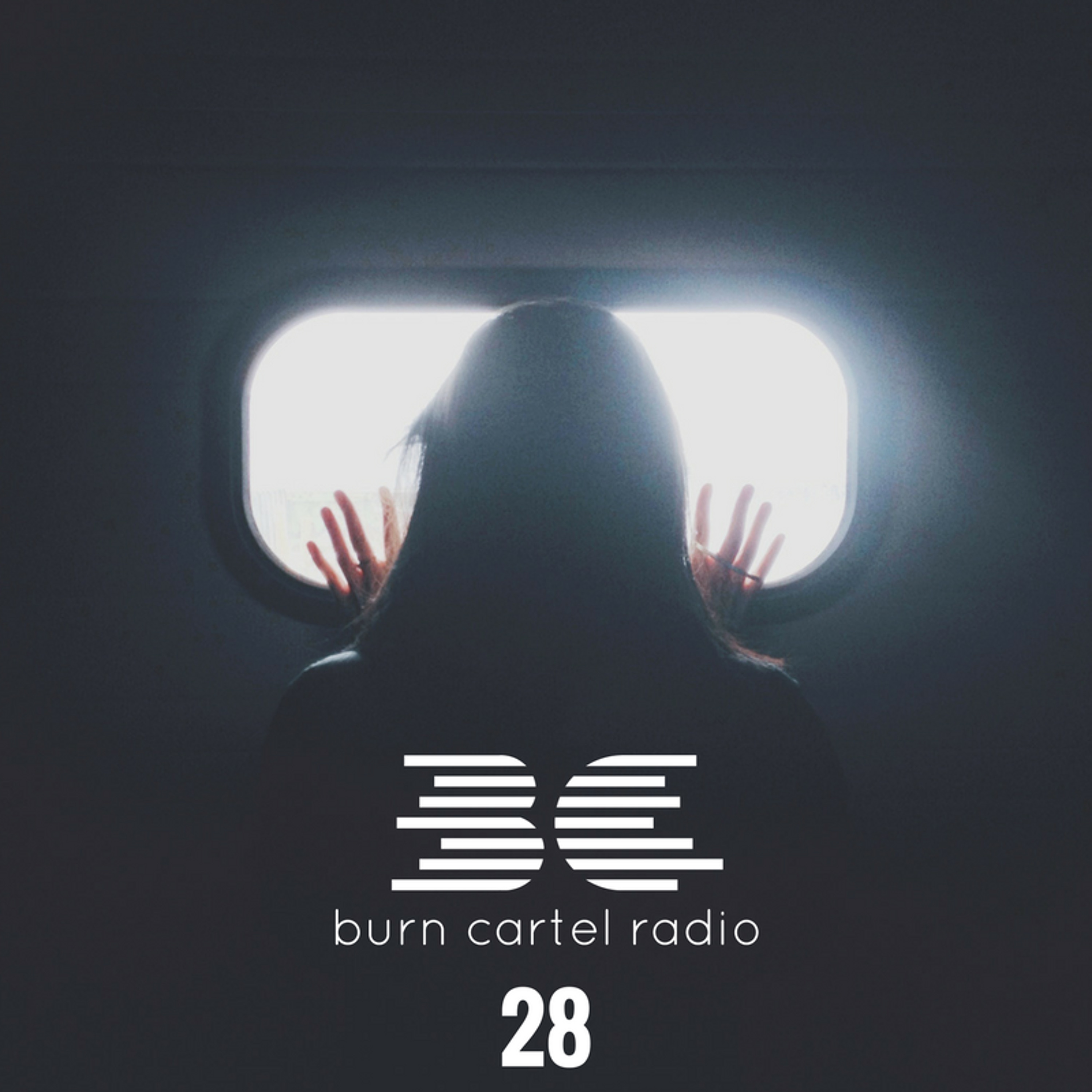 Burn Cartel