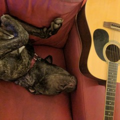 Put Your Lights On- Santana (Raw Cover)