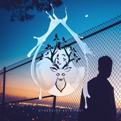 Otherside - Acid - Fast