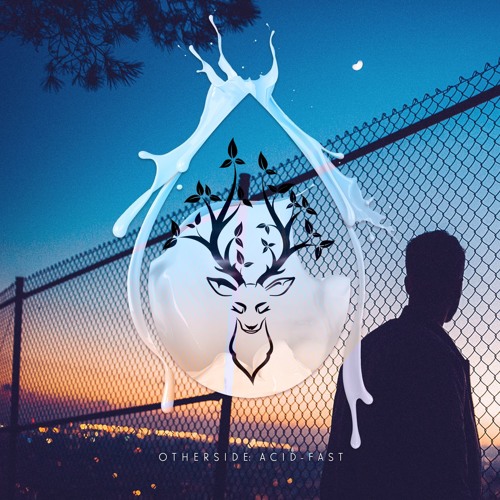 Otherside - Acid - Fast