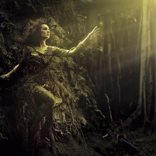 Stream Do Trees Sleep At Night by Jon Solo Composer Producer Musician