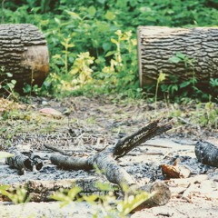 Summer Sunset (Alternate Version)