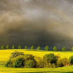 Friday (Instrumental)