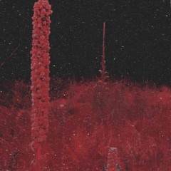 2. Goetia