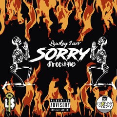Sorry (freestyle)