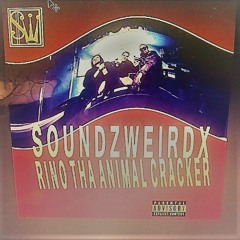 9 Rookie Of The Year